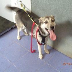 746-18 CHLOE